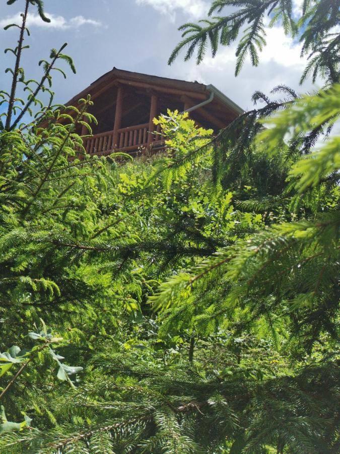 Cabana Casa De Piatra, De La Mara Deseşti Zewnętrze zdjęcie